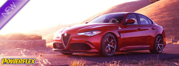 NL2022-39 ALFA ROMEO JACK PAD ADAPTOR