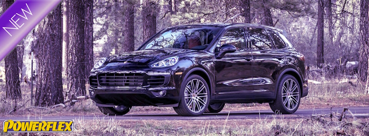 NL2024-02 PORSCHE CAYENNE 958 FRONT WISHBONE BUSH