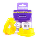 Fiat 500 Lower Engine Mount Insert - US Models