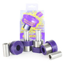 Renault Clio Front Lower Wishbone Bush