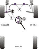 Front Lower Shock Mount
