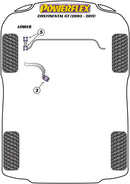 Front Lower Radius Arm to Chassis Bush Caster Adjustable